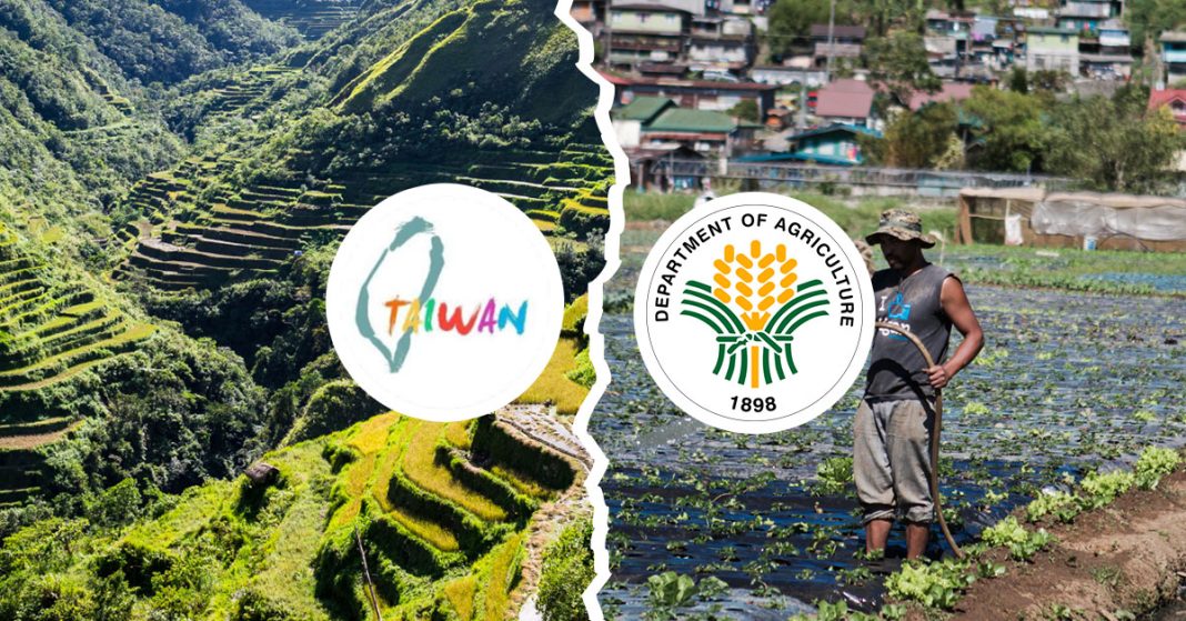 PH Rice Farming Set for Modernization with Taipei Economic and Cultural Office’s Latest Plans